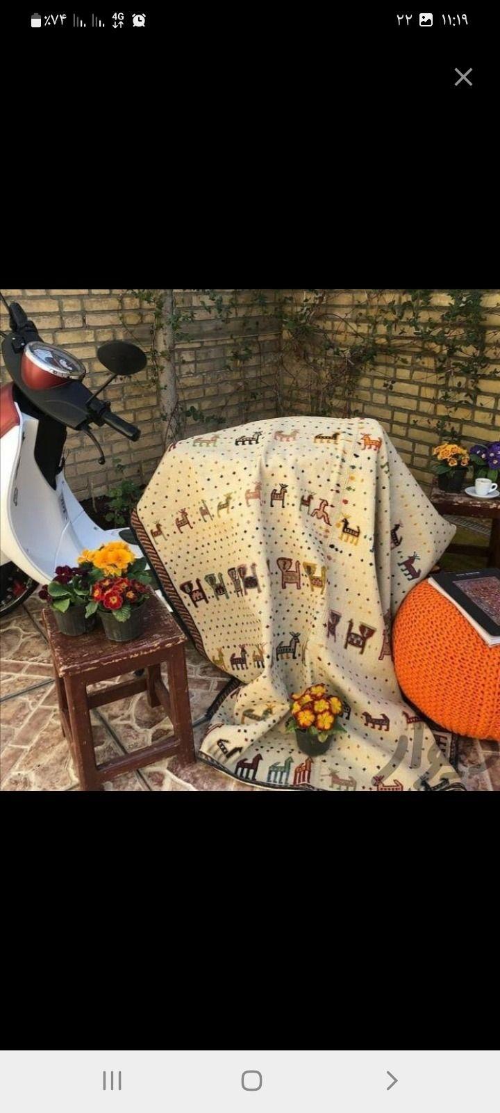 قالیشویی ساقدوش مرزدران