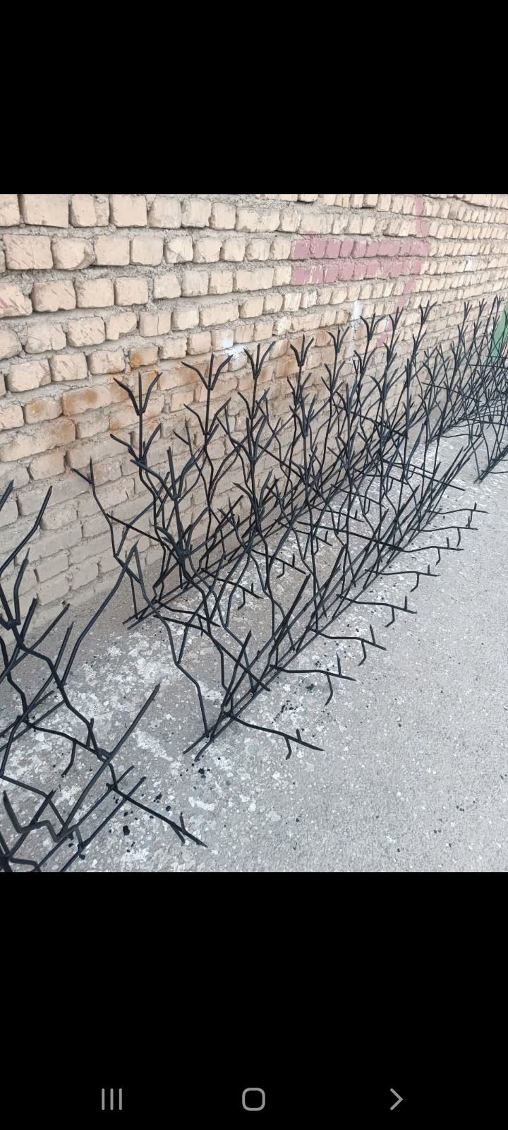 پارسیان حفاظ