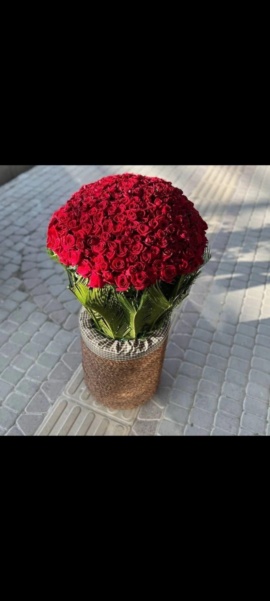 گلفروشی سویل اردبیل