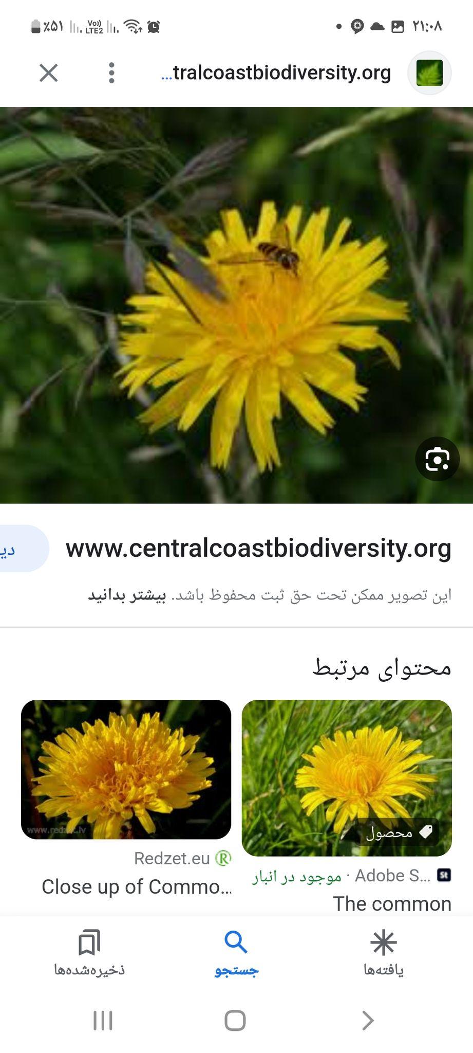 عسل طبیعی الوند