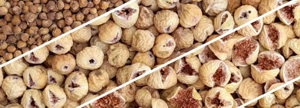 آجیل و خشکبار مهر