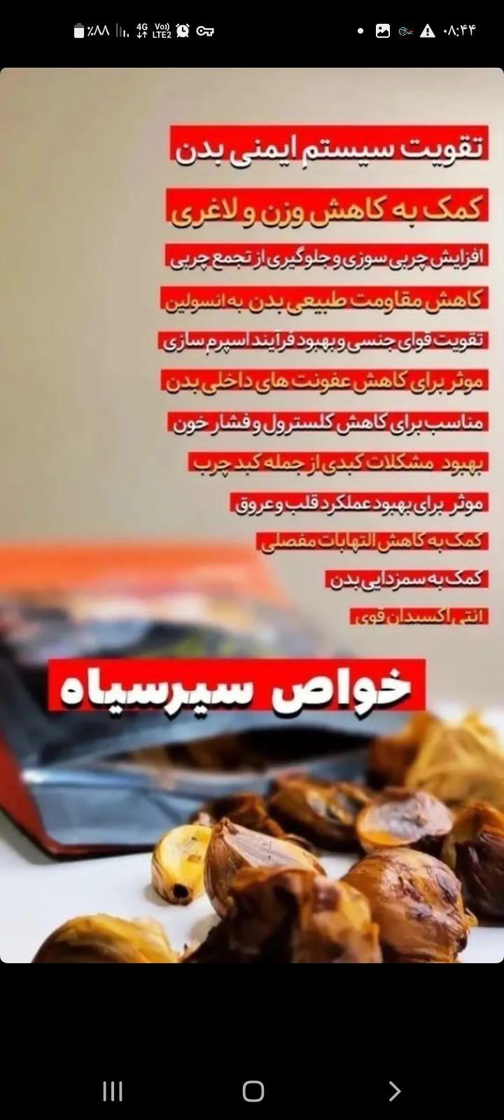 فروش  سیرسیاه به صورت عمده و جزئی