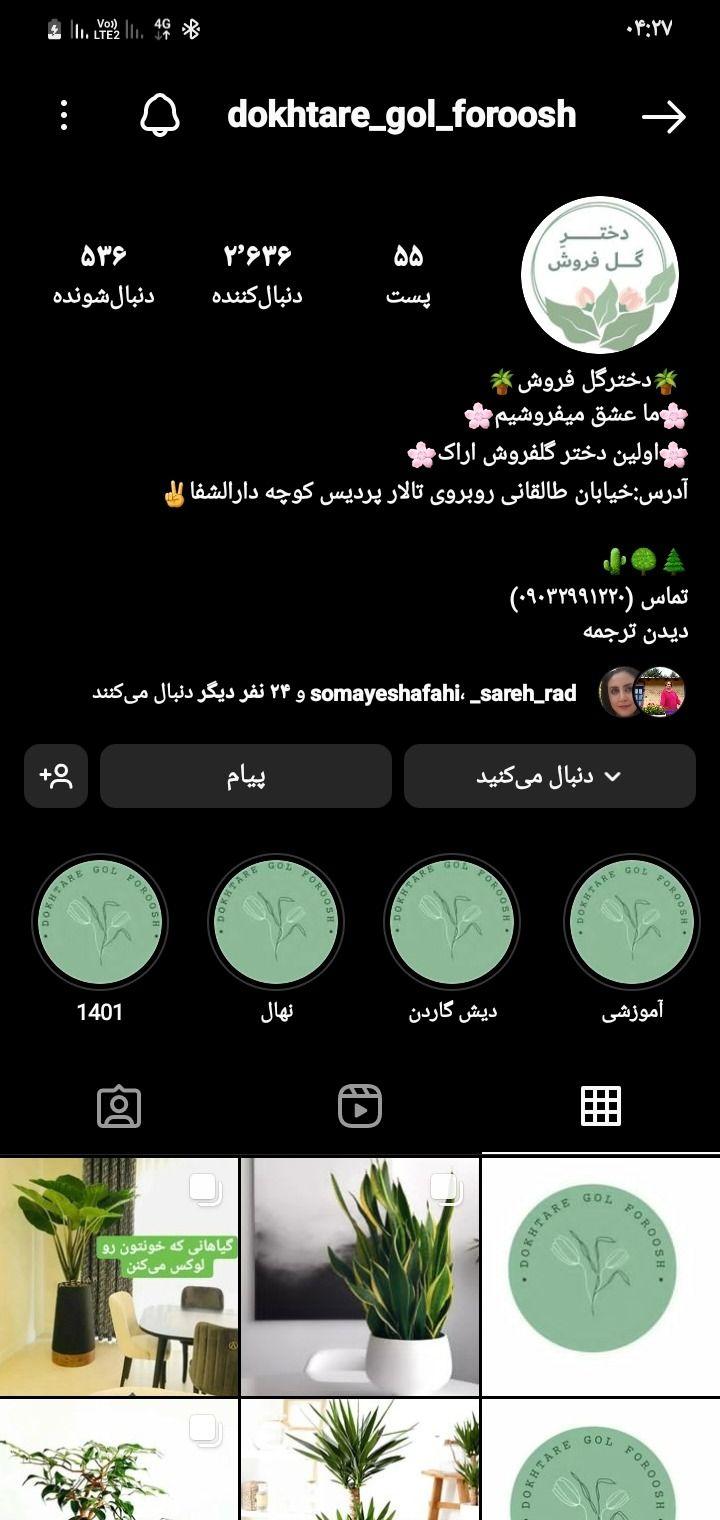 گلخانه دختره گلفروش با ما ارزانی و کیفیت