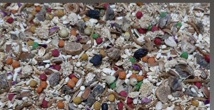 فروشگاه لوازم حیوانات خانگی سرایی