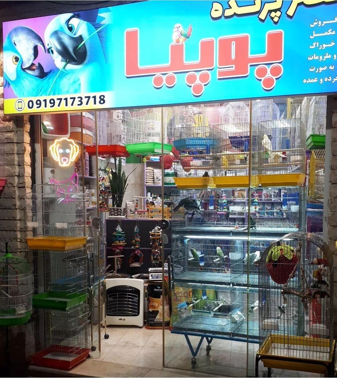 پت شاپ و ملزومات طوطیسانان پوپیا