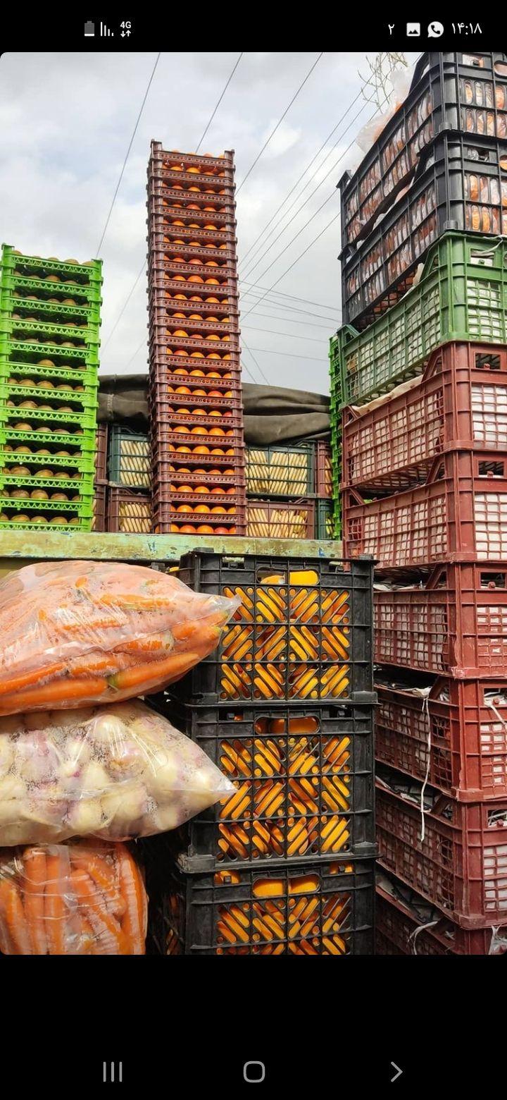 میوه سرای باغ بهشت بابا علی خلیلی