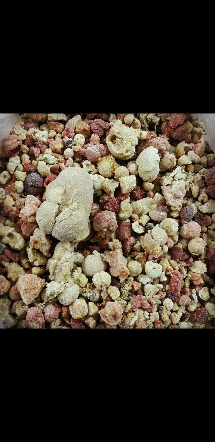 گیاهایی دارویی