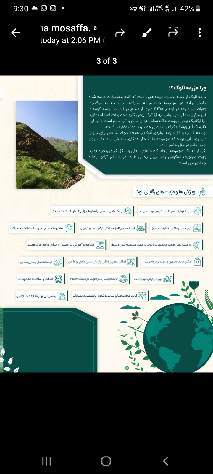 واردات بذر زینتی شرکت تجارت سبز مصفا