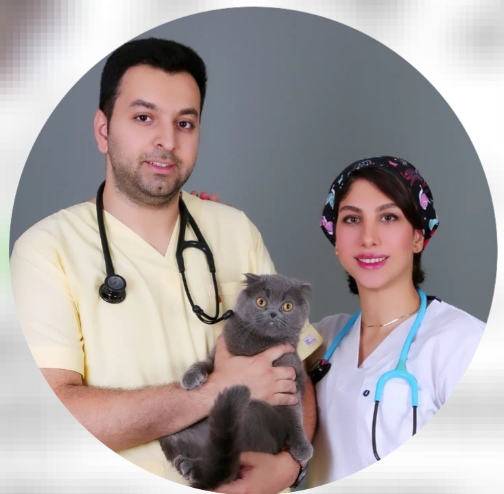 دامپزشکی آذلی وت