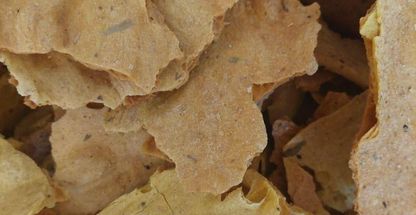 نان خشک و ترد یزدی