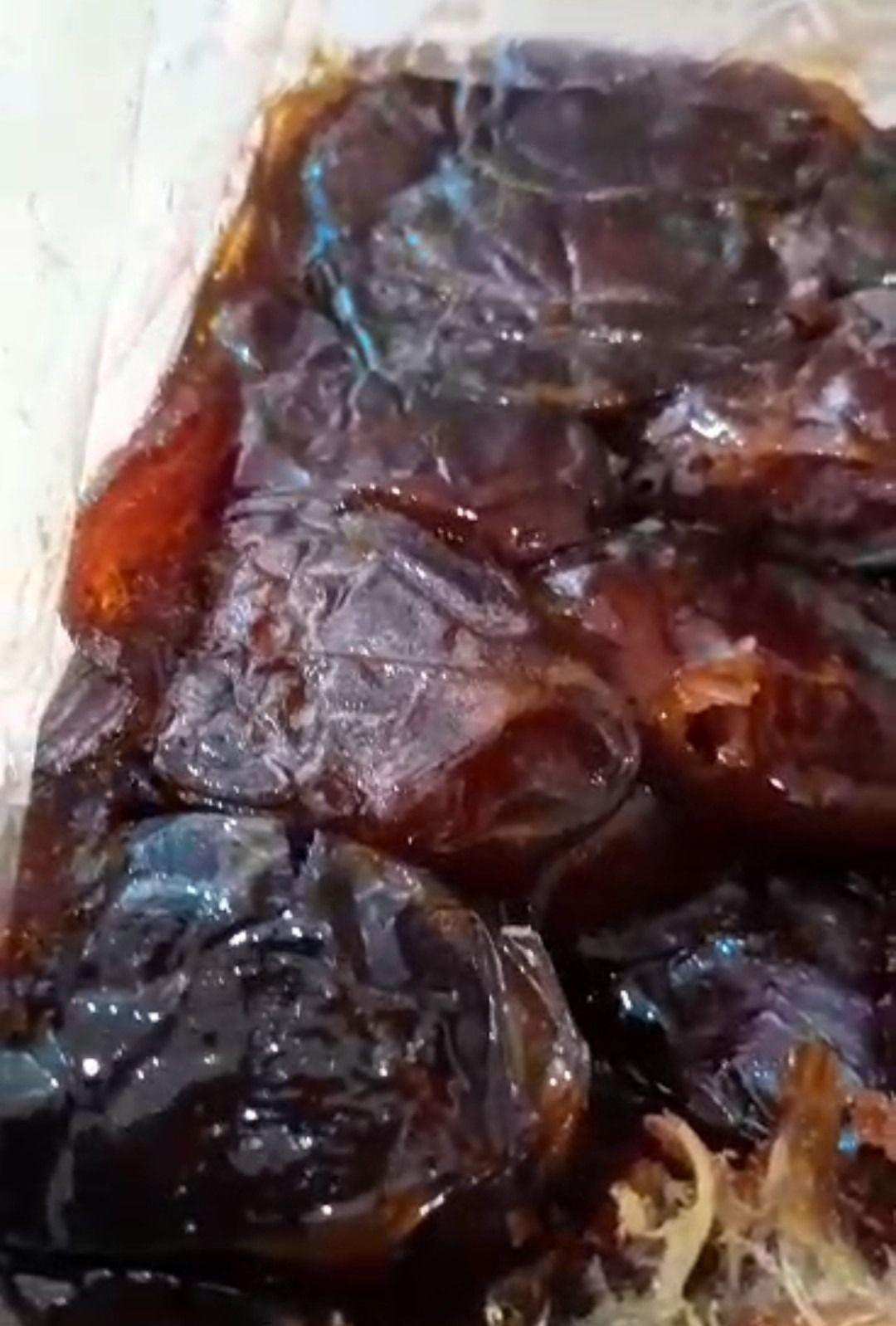 پخش خرما شالي خان