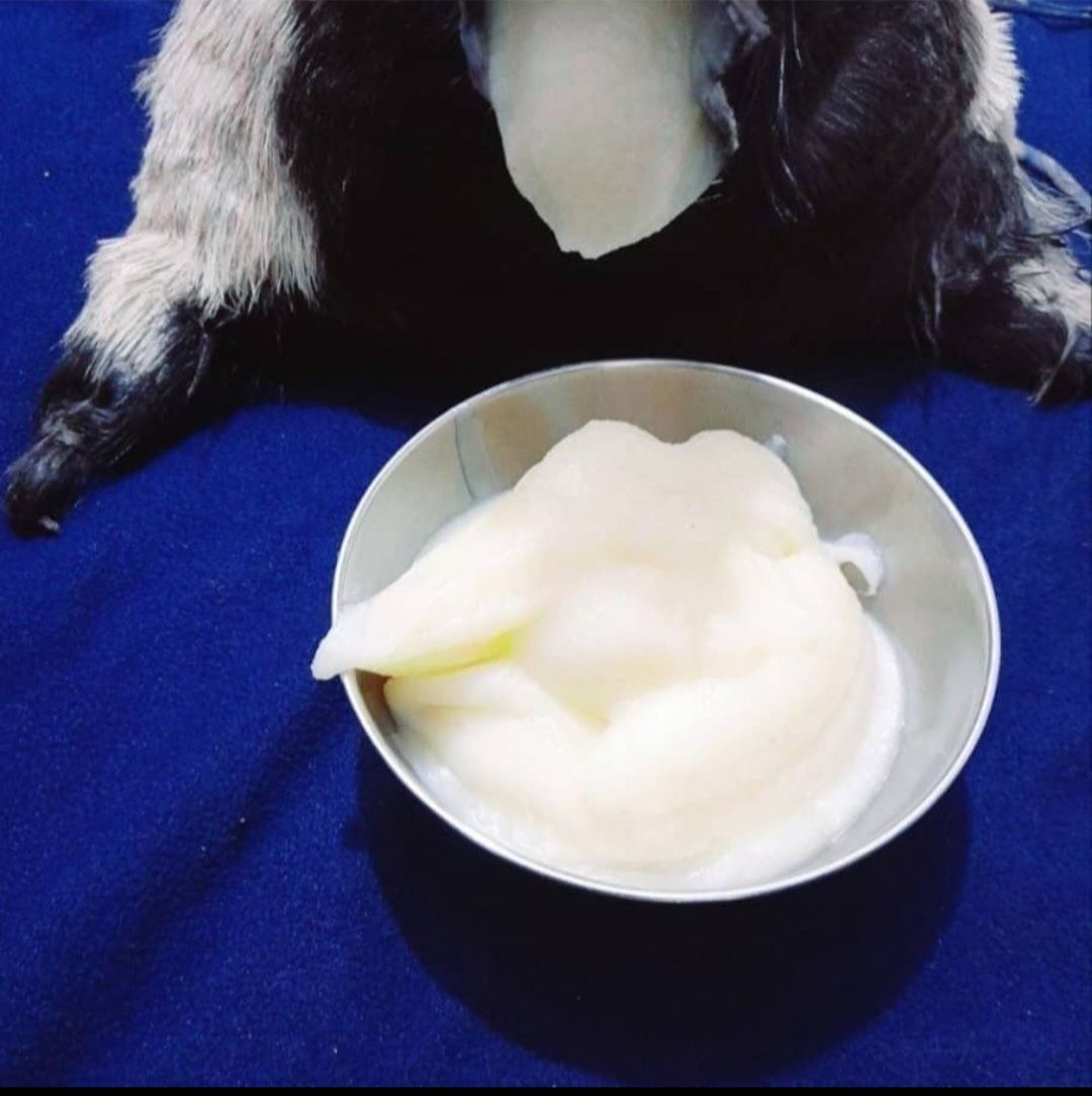 انواع روغن گوسفندی عشایری اعتماد