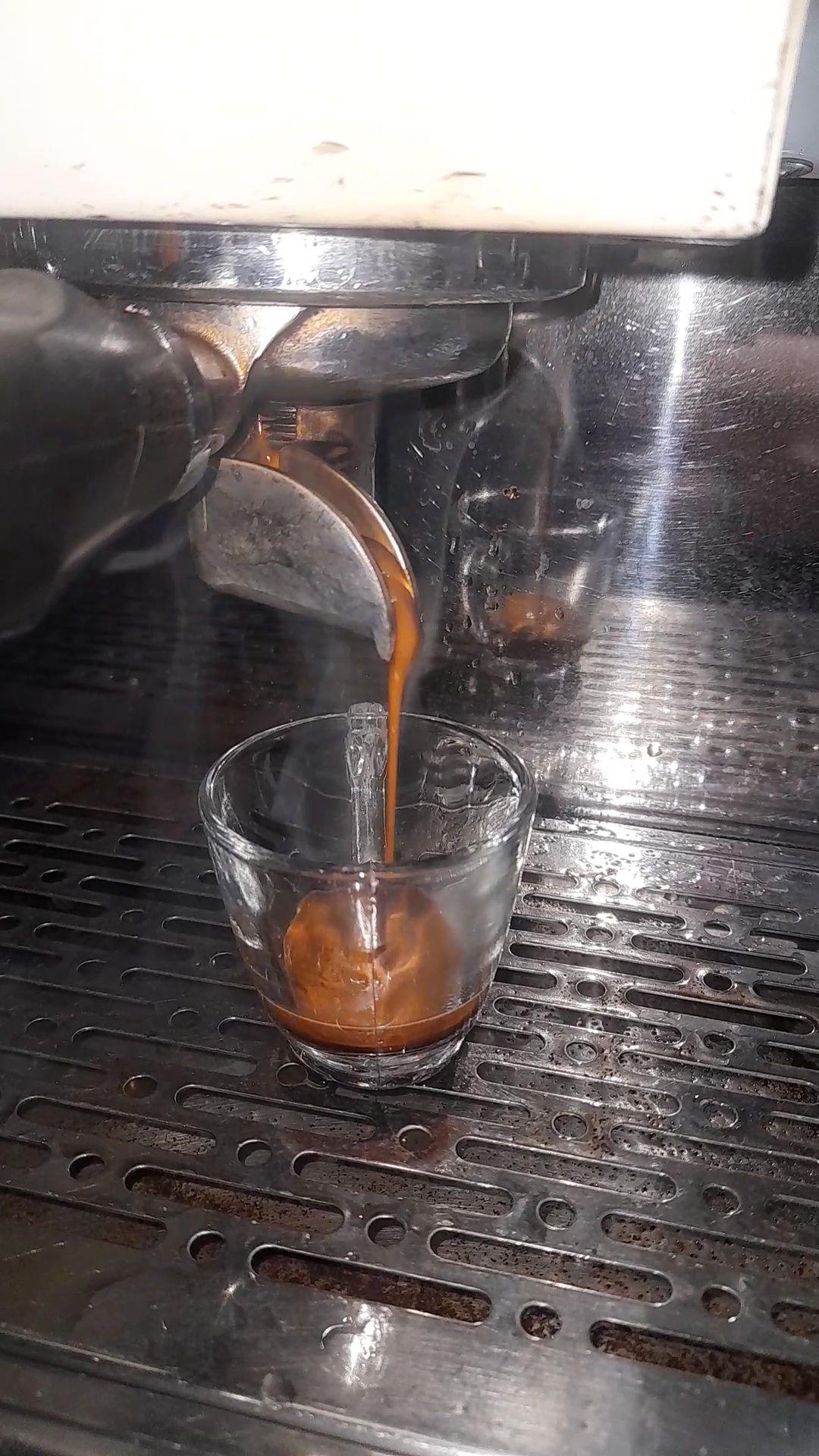 کافه‌کتاب شرافتی