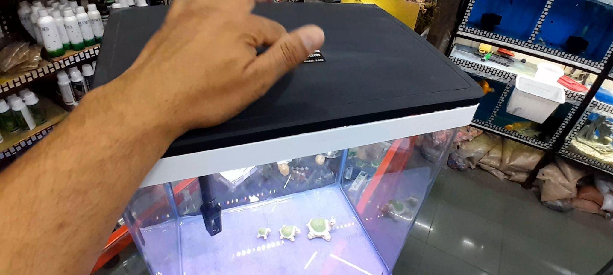 اکواریوم و ماهی تزئینی ستاره